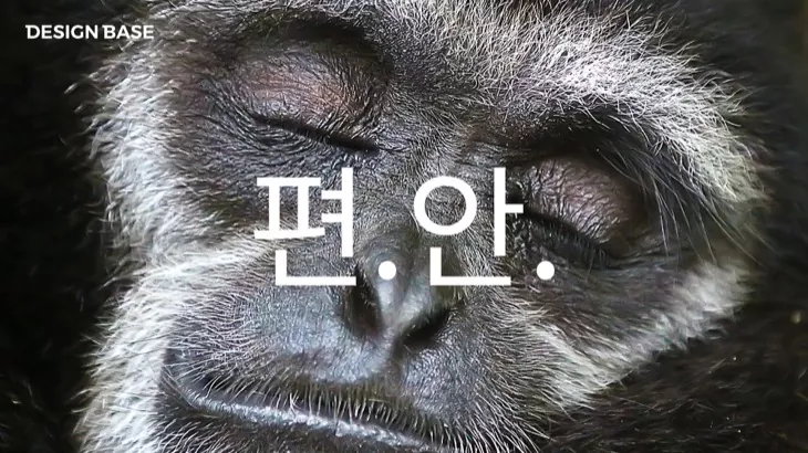 수치가 정확히 정수가 떨어져야 편한 변태 디자이너